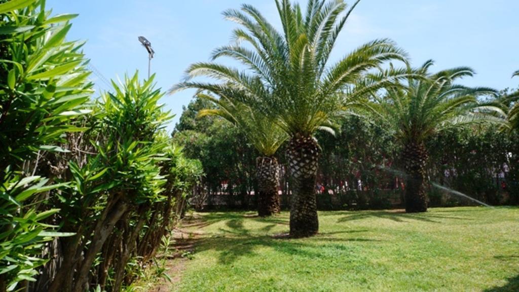 شقة Patio Andaluz دينايا المظهر الخارجي الصورة
