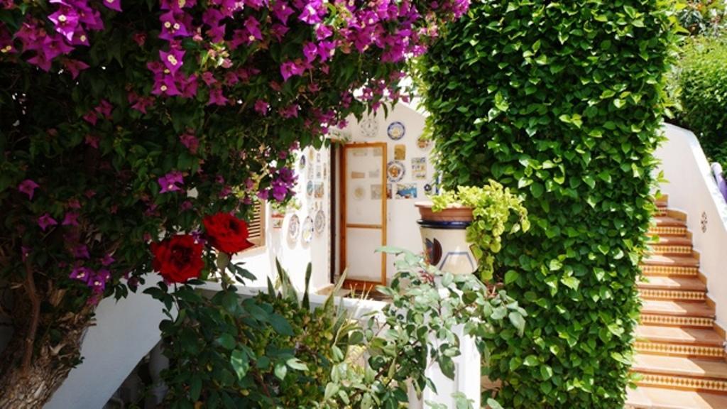 شقة Patio Andaluz دينايا المظهر الخارجي الصورة